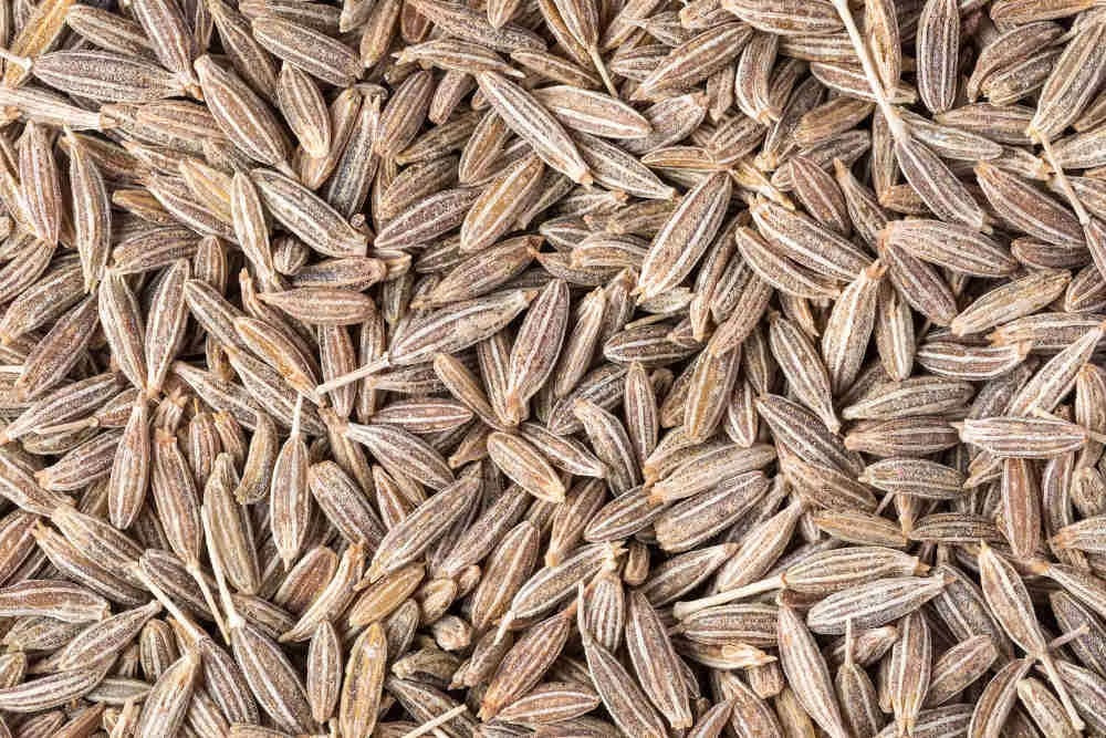 Cumin - சீரகம் image 0