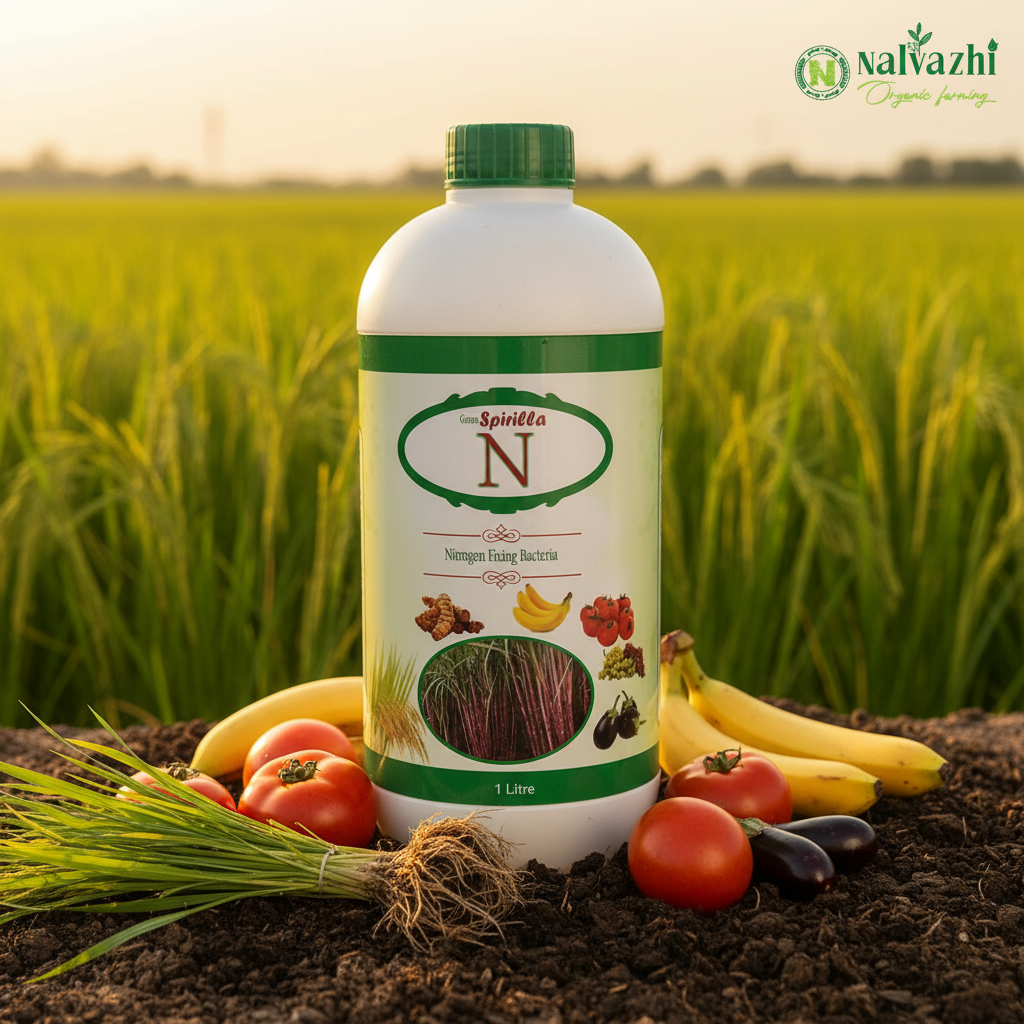 Nalvazhi Green Spirilla N Azospirillum Nitrogen Fixing Bio Fertilizer 1 litre bottle on fertile soil with paddy field background