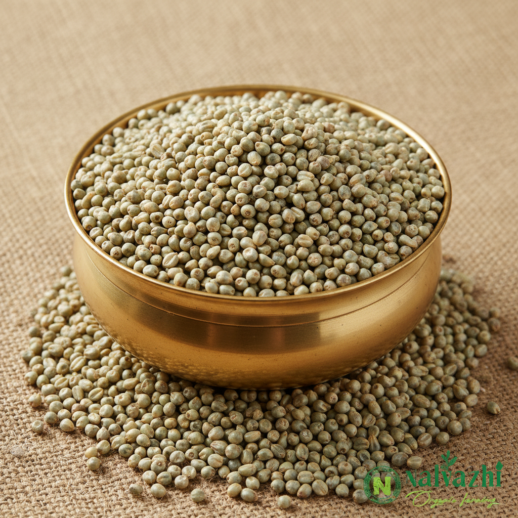 Pearl Millet Traditional - நாட்டு கம்பு 500g
