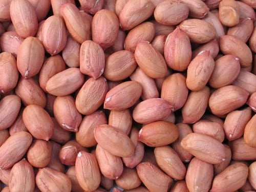 Groundnuts - நிலக்கடலை பருப்பு image 0
