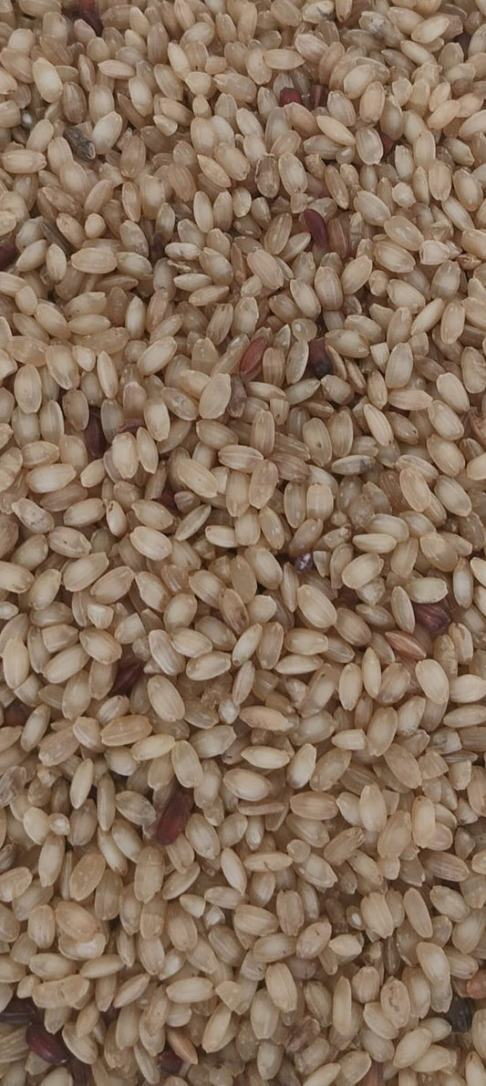 mani samba 1kg image 1