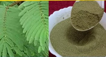 Arappu (Oil Cake Tree)Powder - அரப்புத்தூள் image 0