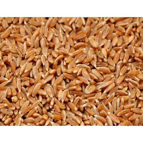 Samba Wheat - சம்பா கோதுமை 500gm image 0