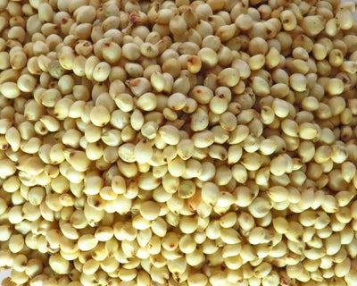 White Corn - வெள்ளை சோளம் 500g image 0
