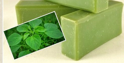 Kuppaimeni Soap - குப்பைமேனி 100gm image 0