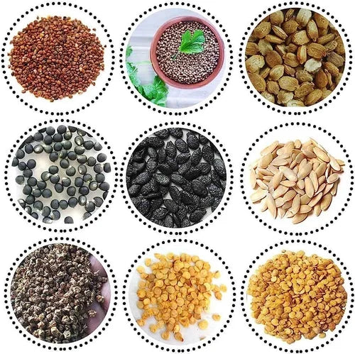 All Types Of Spinach seeds and Vegetable Seeds -  நாட்டு ரக காய்கறி கீரை விதைகள் (ஒரு பாக்கெட் ) image 0