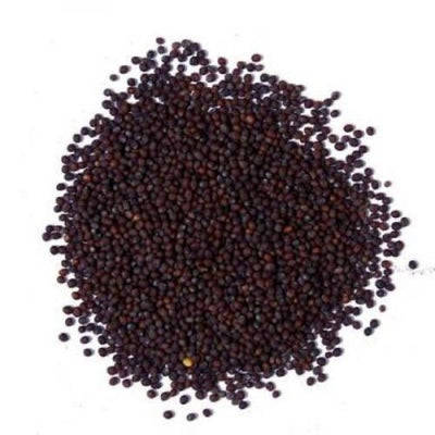 Mustard Seeds - கடுகு 100gm image 0