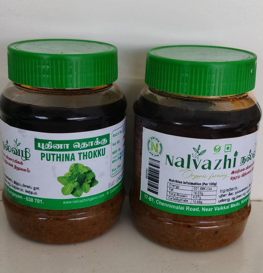 Mint/Pudhina Thokku - புதினா தொக்கு 250gm image 0