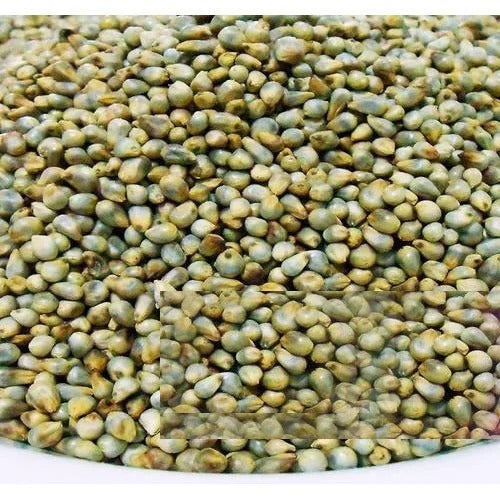 Pearl Millet Traditional - நாட்டு கம்பு 500g image 0