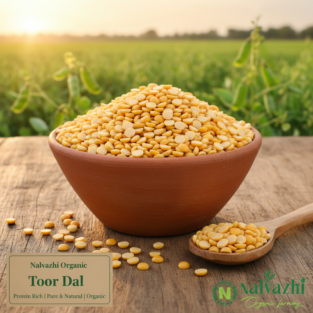 Toor Dal in Clay Bowl - Farm Field Background - Nalvazhi Organic