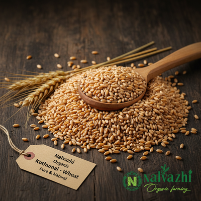 Nalvazhi Organic Kothumai whole wheat grains golden brown on dark wooden surface with wooden spoon and wheat stalks