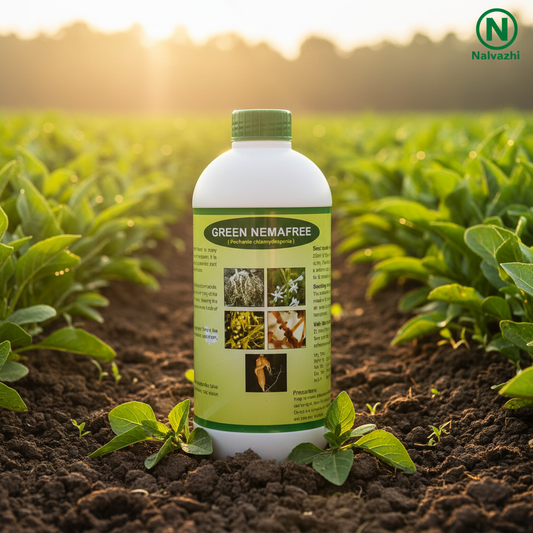 Nalvazhi Green Nemafree Pochonia chlamydosporia Bio Nematicide bottle in farm field