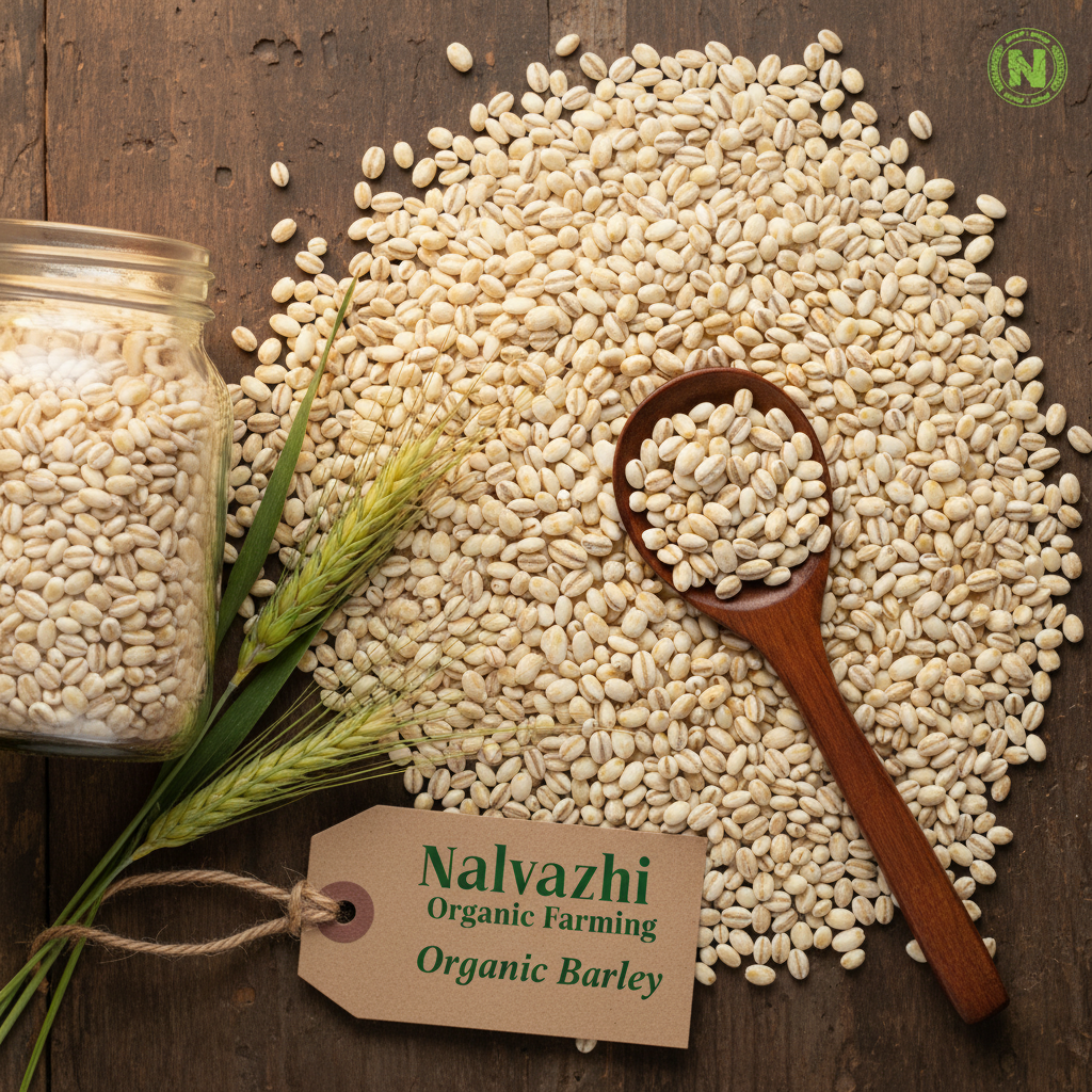 Organic Barley – Nalvazhi Organic Farming