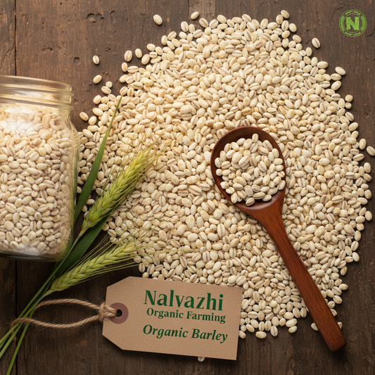 Organic Barley – Nalvazhi Organic Farming