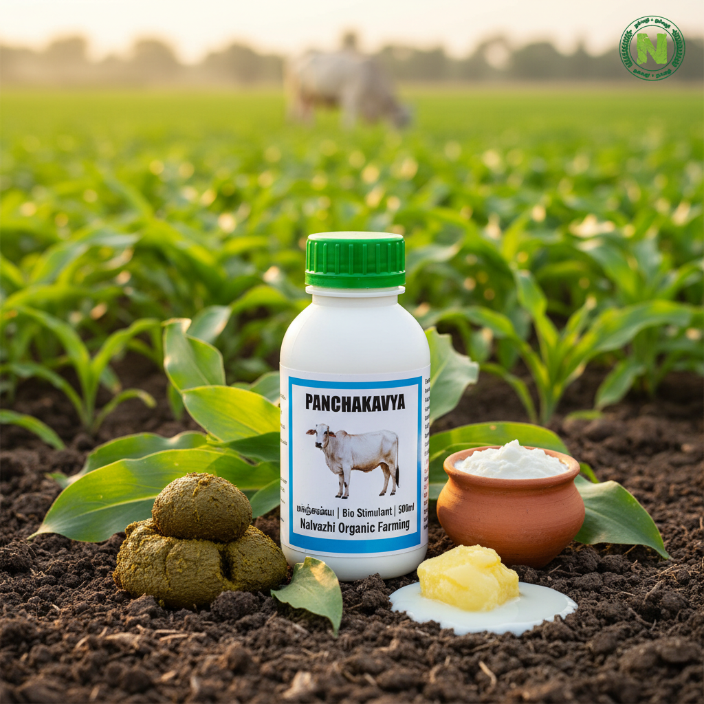 Nalvazhi Panchakavya Bio Stimulant 500ml bottle on fertile soil with Indian cow and farm background