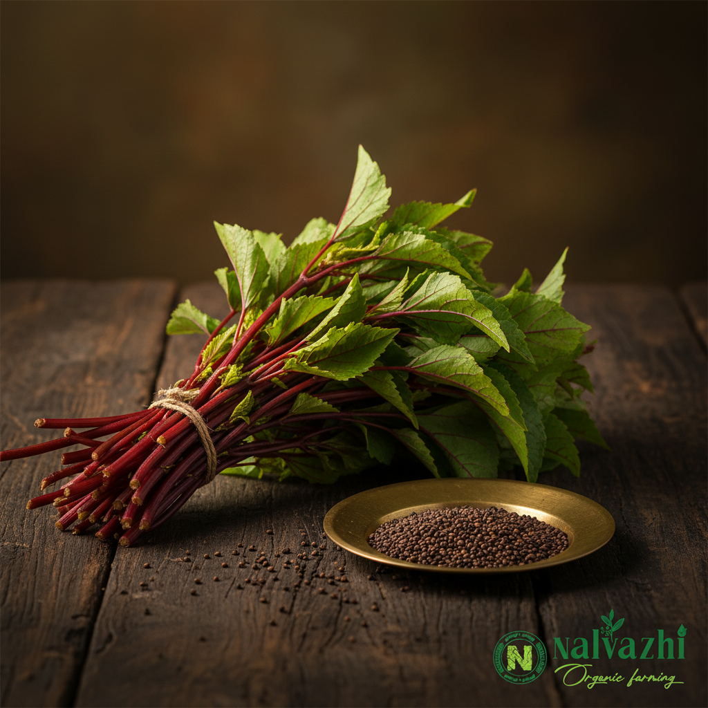Red Pulicha Keerai (Red Sorrel / Gongura) with vivid red stems and dark seeds in brass plate — Nalvazhi Organic native seeds