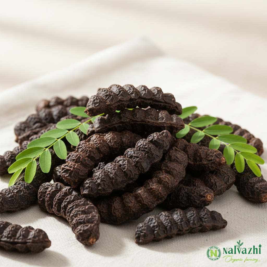 Nalvazhi Organic Shikakai pods with feathery green leaves on light linen background