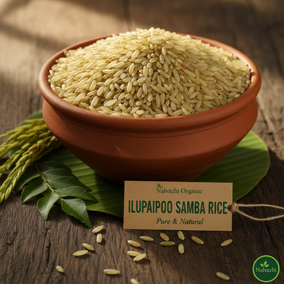 Ilupaipoo Samba rice in traditional terracotta bowl with Nalvazhi tag