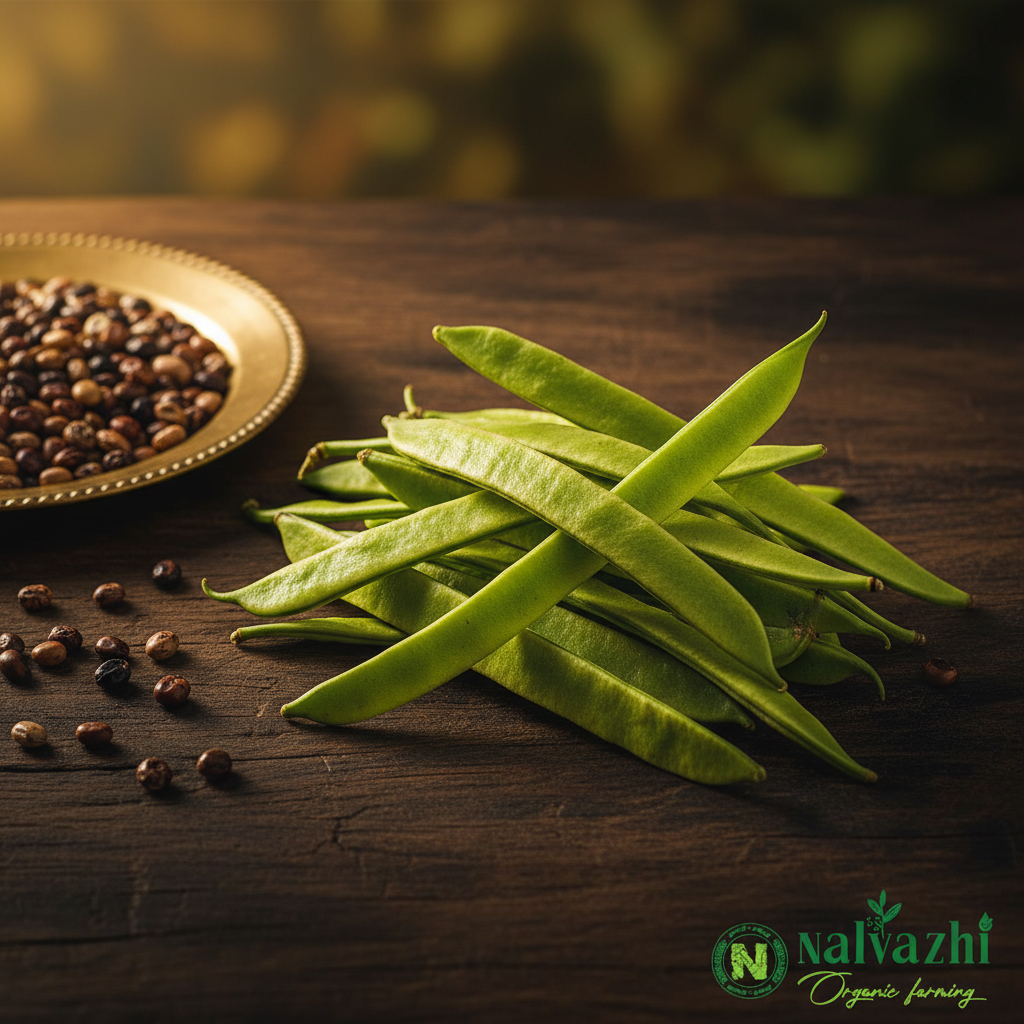 Kotha Avarai (Cluster Beans) short flat green pods with mixed seeds in brass plate — Nalvazhi Organic native seeds