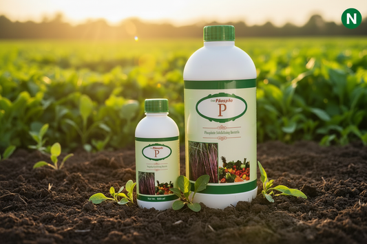 Nalvazhi Green Phospho Phosphate Solubilizing Bacteria 500ml and 1 Litre bottles together in farm field