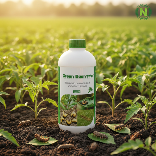 Nalvazhi Green Basivert Beauveria Bassiana Bio Pesticide 500ml bottle on fertile soil