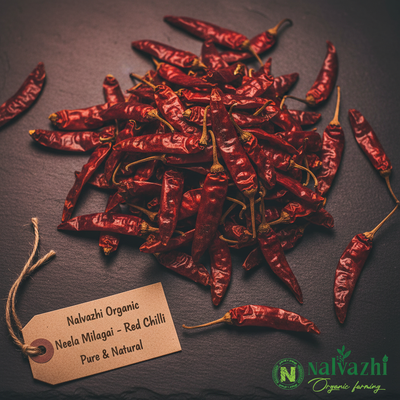 Neela Milagai - Organic Red Chilli by Nalvazhi Organic Farming