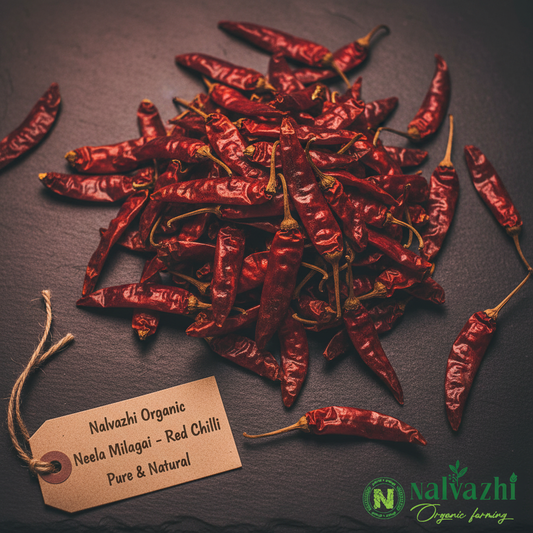 Neela Milagai - Organic Red Chilli by Nalvazhi Organic Farming