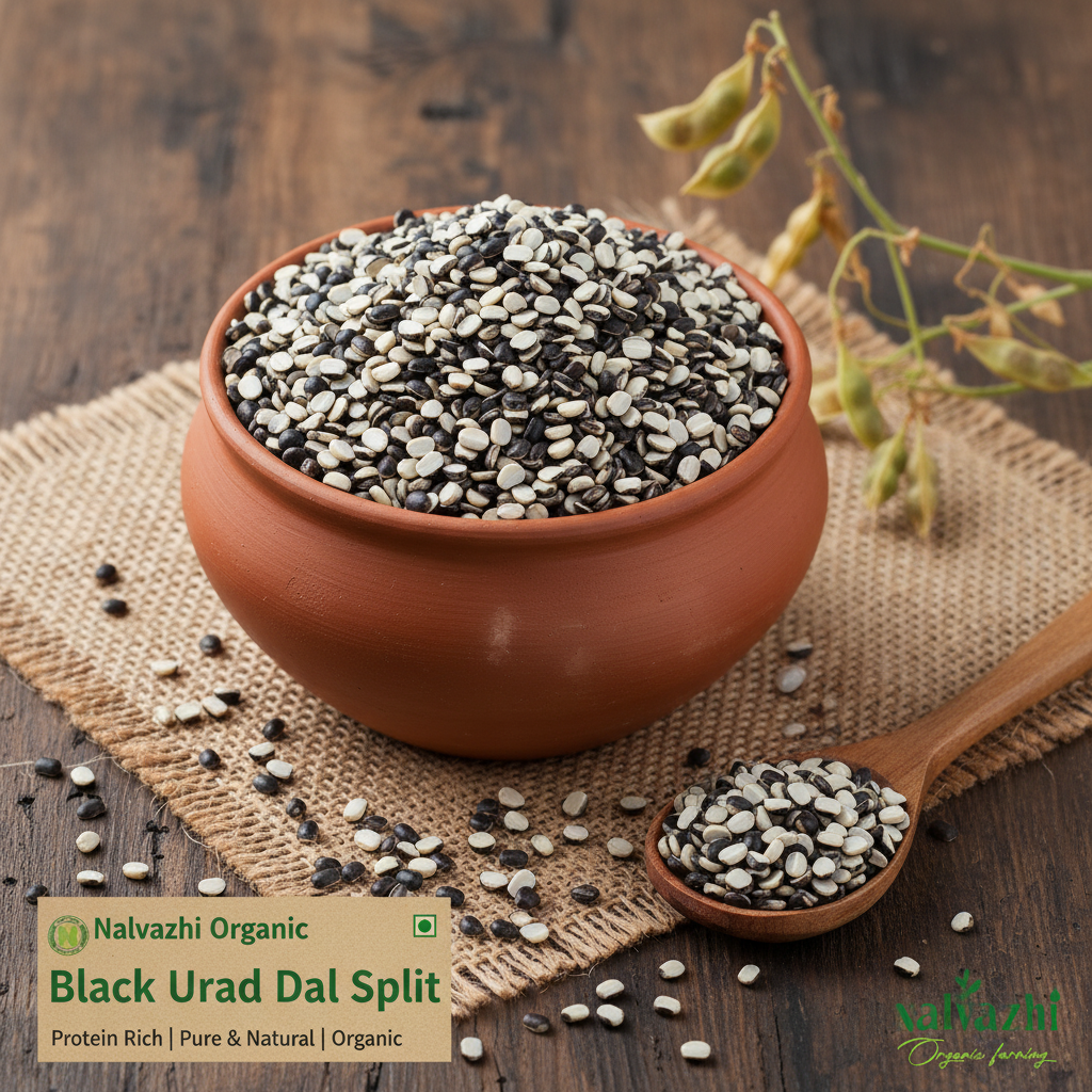 Black Urad Dal Split in Clay Terracotta Bowl - Nalvazhi Organic