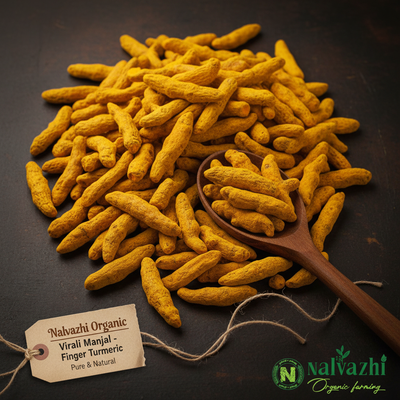 Virali Manjal - Organic Dried Finger Turmeric by Nalvazhi Organic Farming