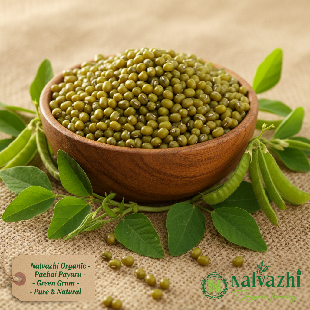 Nalvazhi Organic Green Gram in wooden bowl with green gram plant background