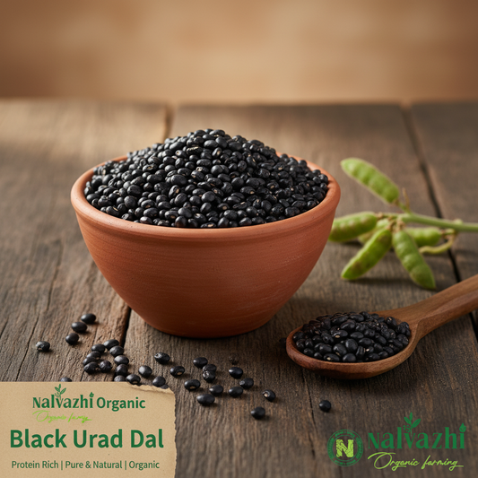Black Urad Dal in Clay Bowl - Nalvazhi Organic