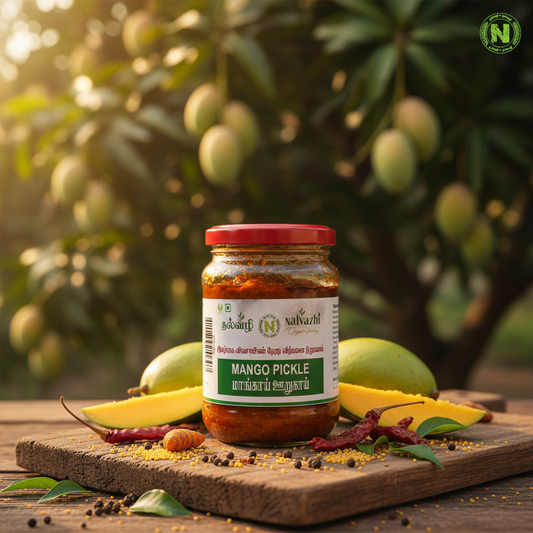 Nalvazhi Mango Pickle jar with fresh mangoes, spices and farm background