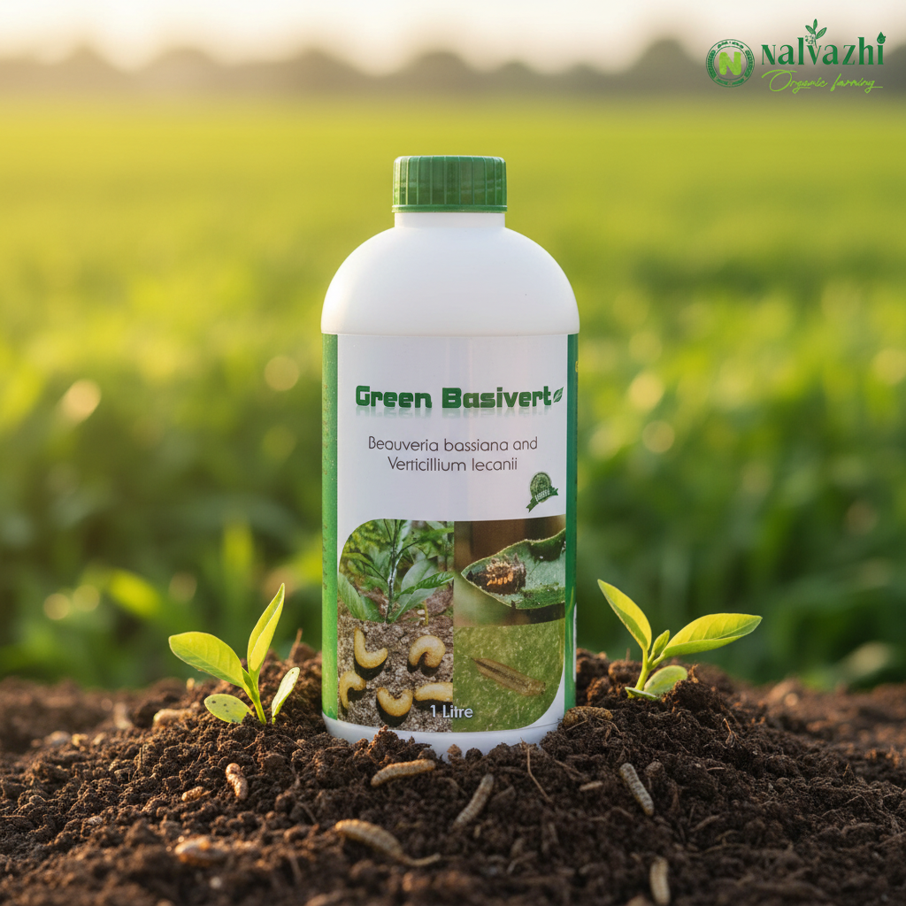 Nalvazhi Green Basivert Beauveria Bassiana Bio Pesticide 1 litre bottle on fertile soil