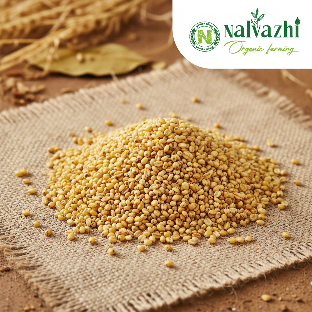 Little Millet Product Image