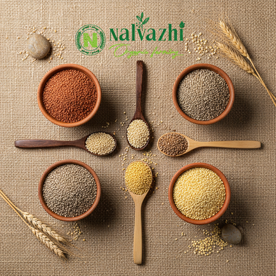 Types of Millets Collection Image