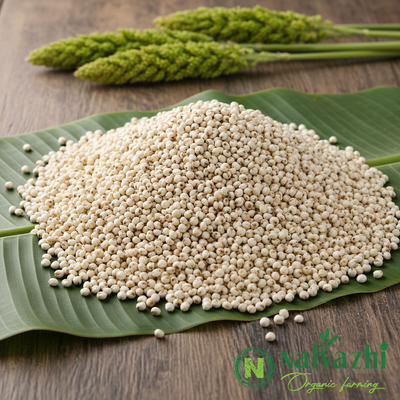 White Corn - வெள்ளை சோளம் 500g