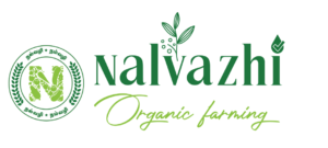 Nalvazhi Logo