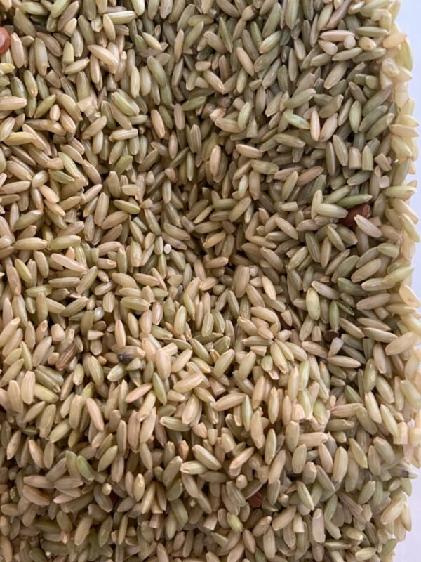 Iluppaipoo Samba Rice (Aromatic Brown Rice)