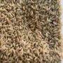Iluppaipoo Samba Rice (Aromatic Brown Rice)